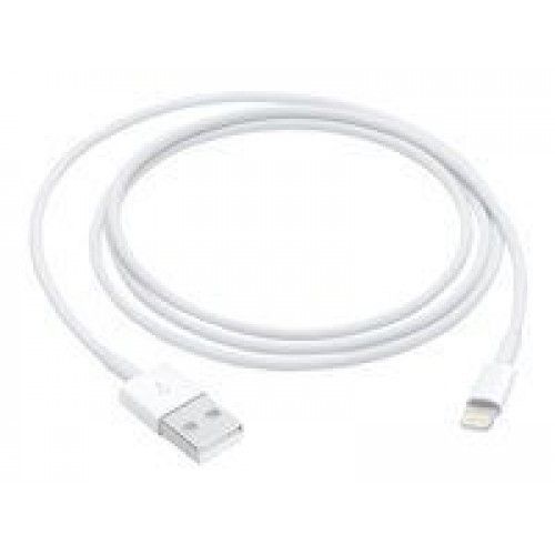 Apple Lightning to USB Cable 1M